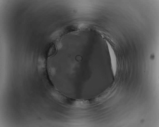 X0000102490571200808221733