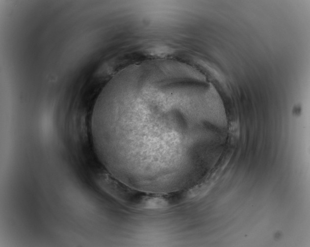 X0000102490572200808221733