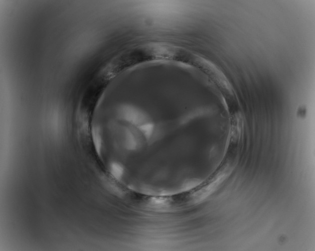 X0000102490573200808221733