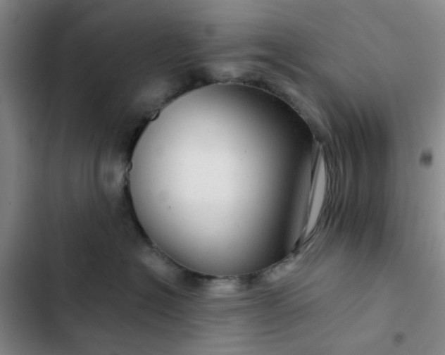 X0000102490574200808221733