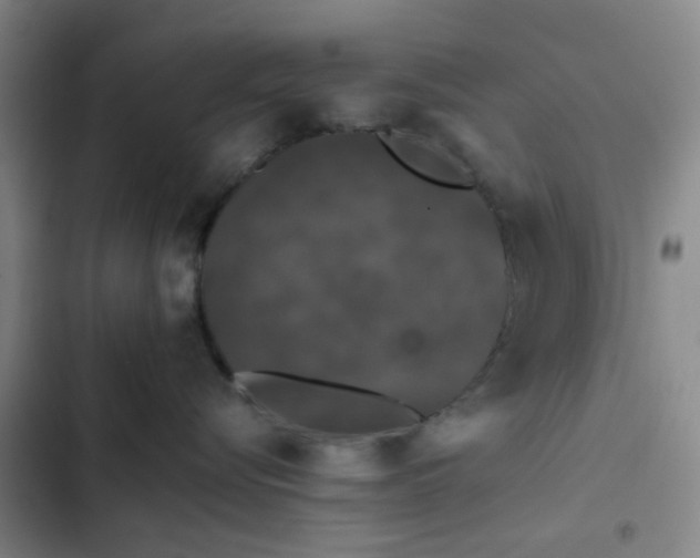 X0000102490576200808221733