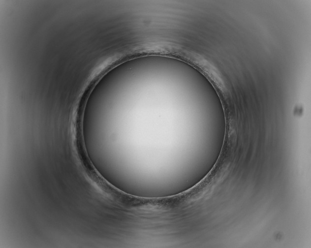 X0000102490578200808221733