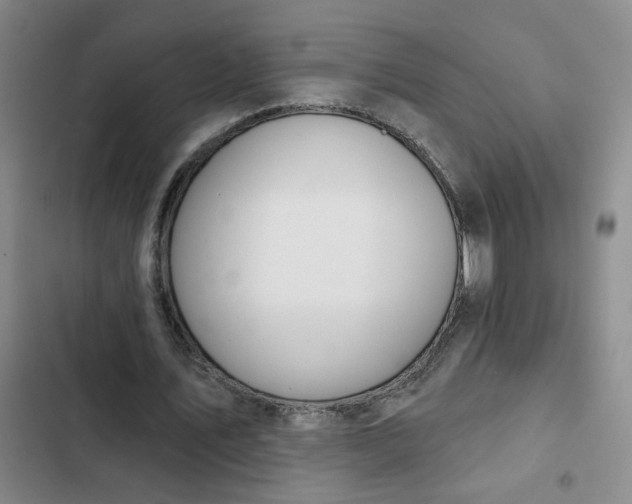 X0000102490579200808221733