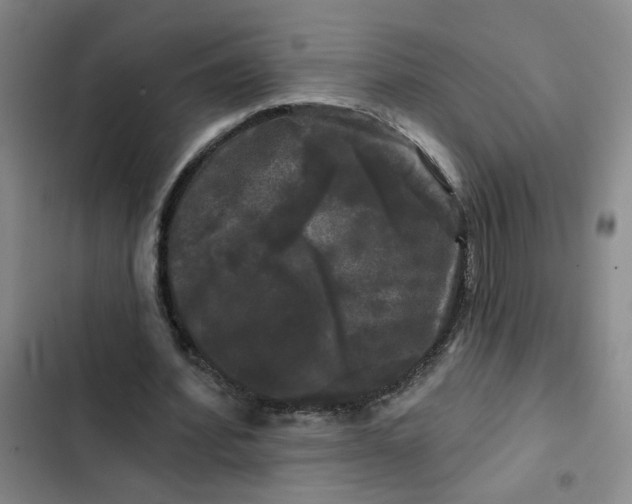 X0000102490580200808221733