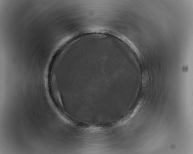 X0000102490581200808221733