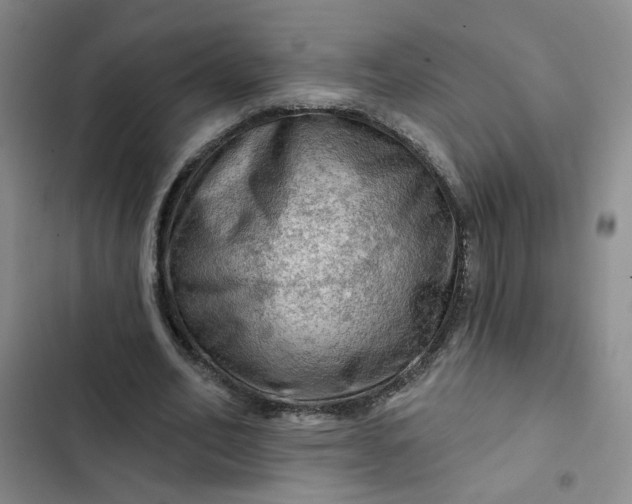 X0000102490582200808221732