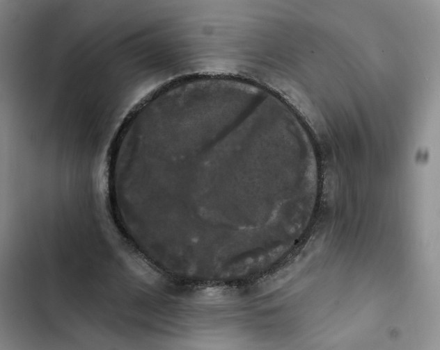 X0000102490584200808221732