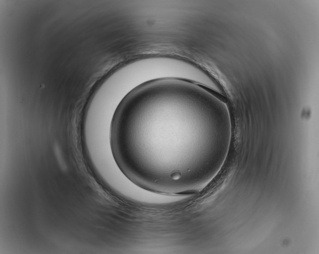 X0000102490585200808221732