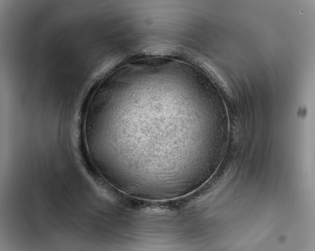 X0000102490586200808221732