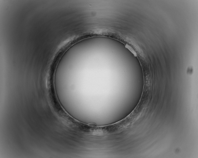 X0000102490587200808221732