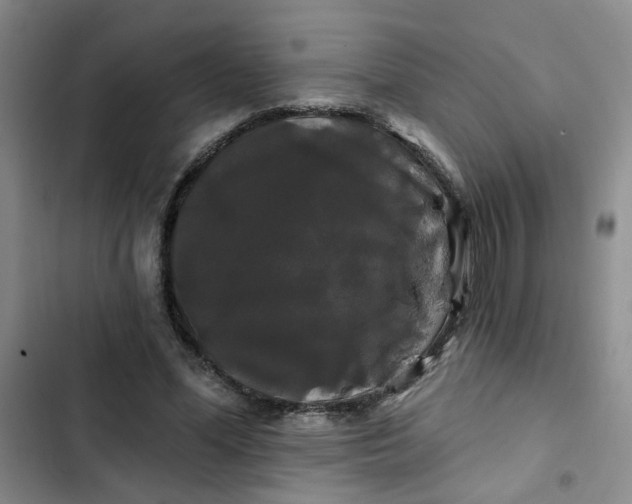 X0000102490588200808221732