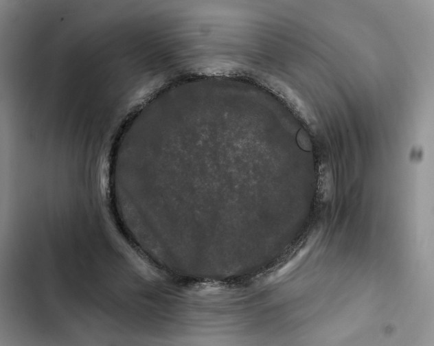 X0000102490589200808221732