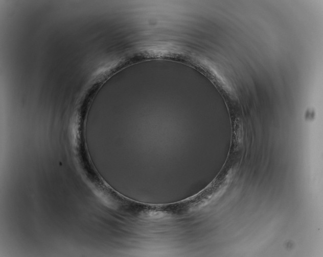 X0000102490590200808221732