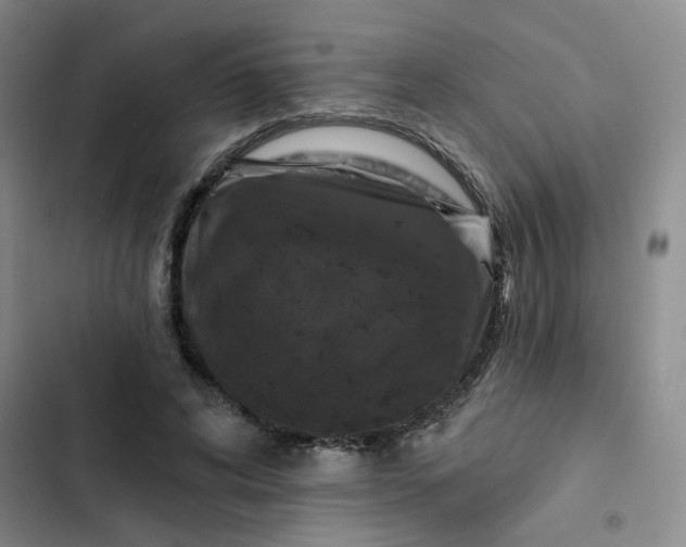 X0000102490592200808221732