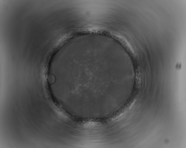 X0000102490593200808221732