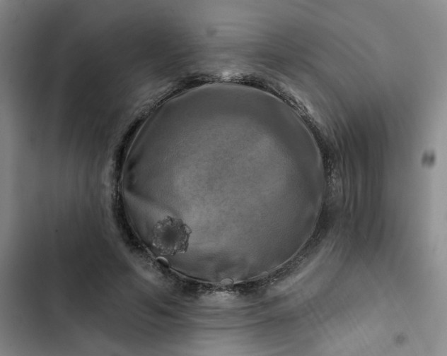 X0000102490594200808221732