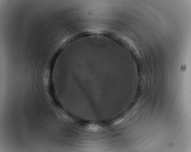 X0000102490596200808221732