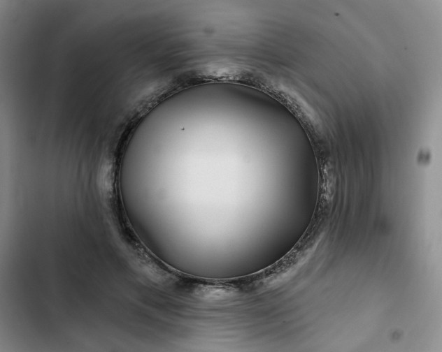 X0000102490597200808221732