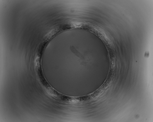 X0000102490598200808221732