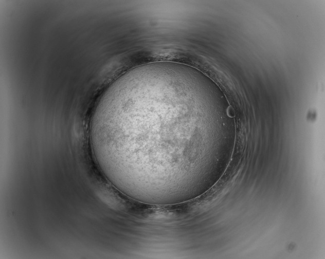 X0000102490601200808221732