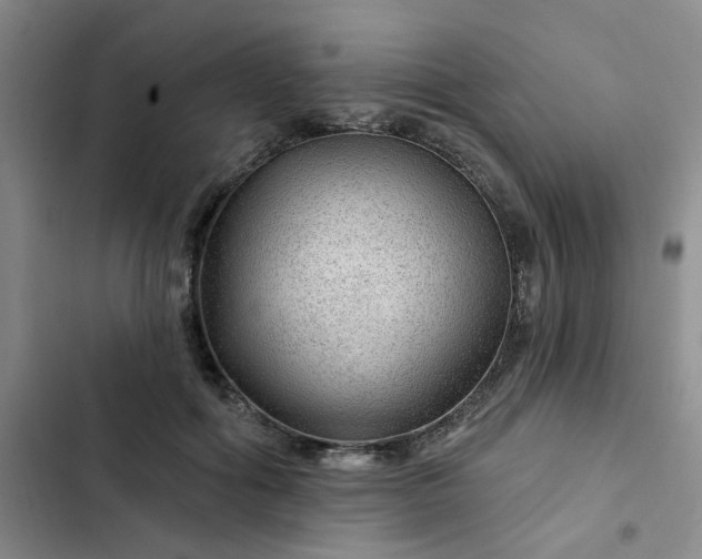 X0000102490602200808221732