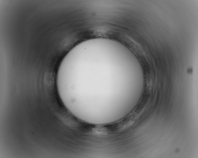 X0000102490603200808221732