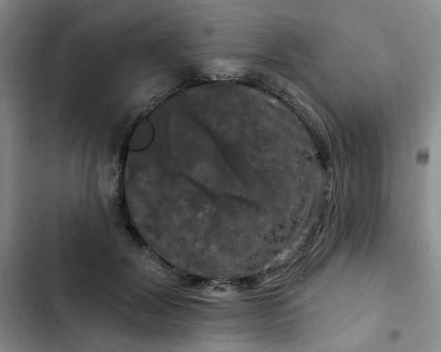 X0000102490604200808221732