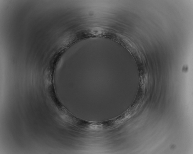 X0000102490606200808221732