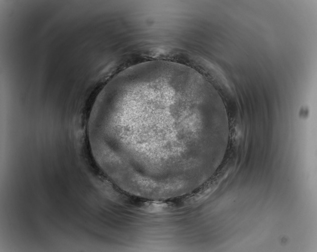 X0000102490607200808221732