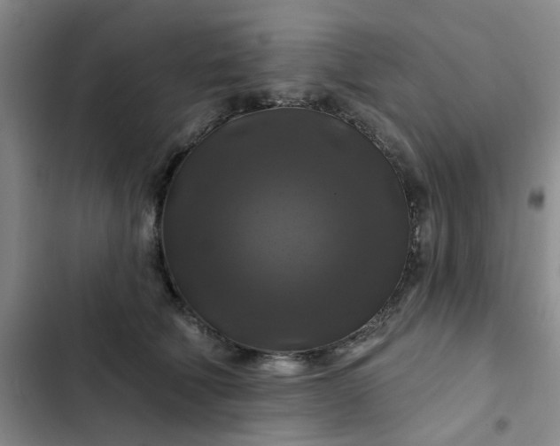 X0000102490610200808221732