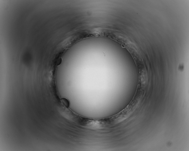 X0000102490611200808221732