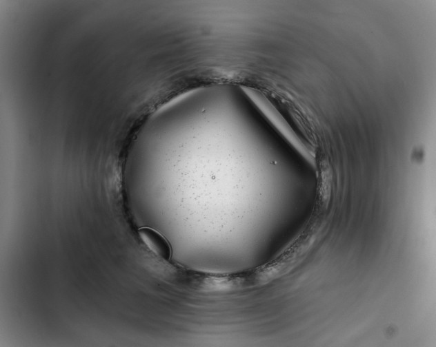 X0000102490613200808221732