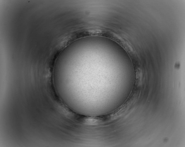 X0000102490614200808221732