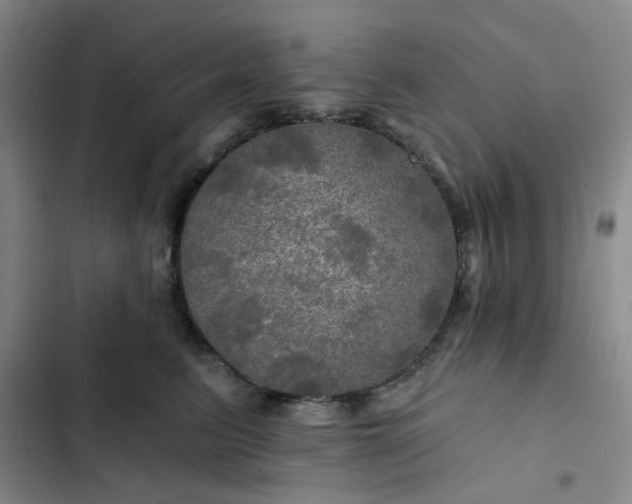 X0000102490615200808221732