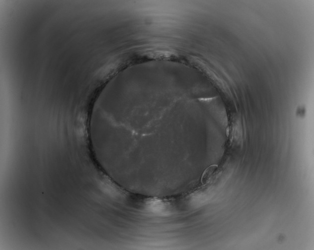 X0000102490616200808221732