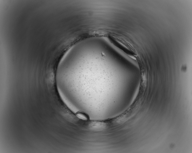 X0000102490617200808221732