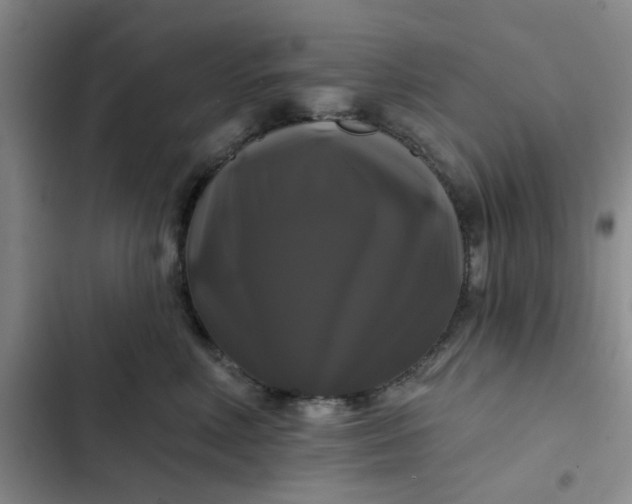 X0000102490618200808221732