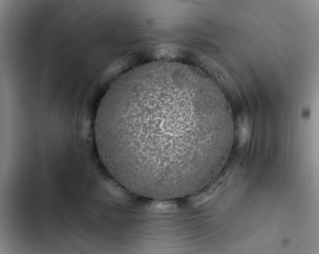 X0000102490619200808221732