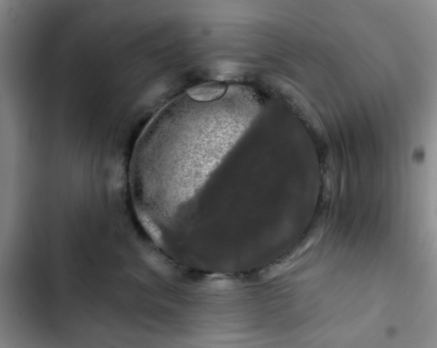 X0000102490620200808221732