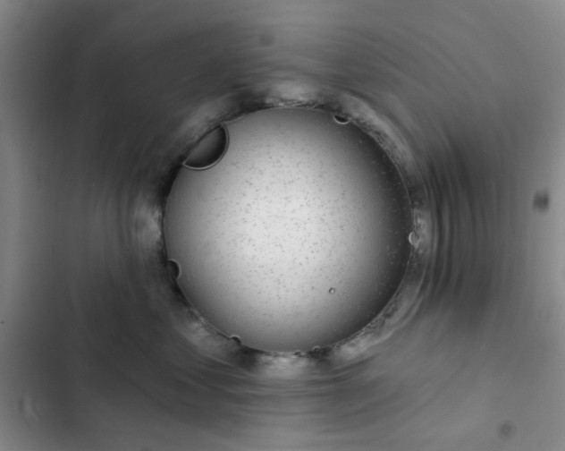 X0000102490621200808221732