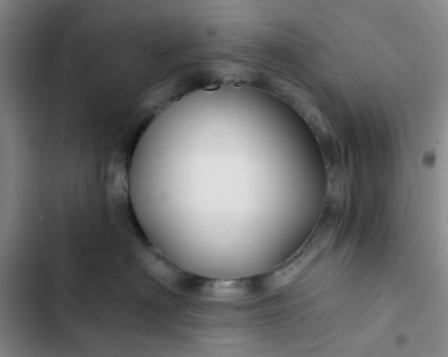 X0000102490622200808221732