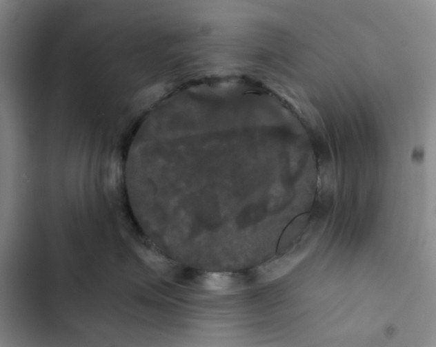 X0000102490623200808221732