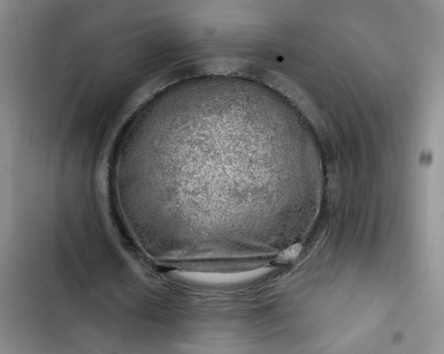 X0000102490626200808221731