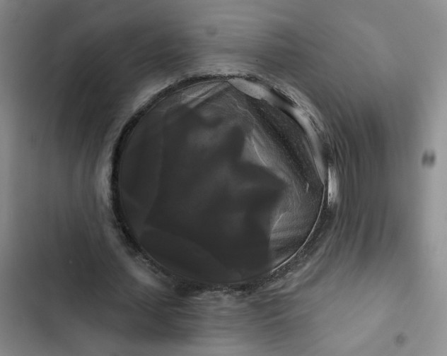 X0000102490627200808221731