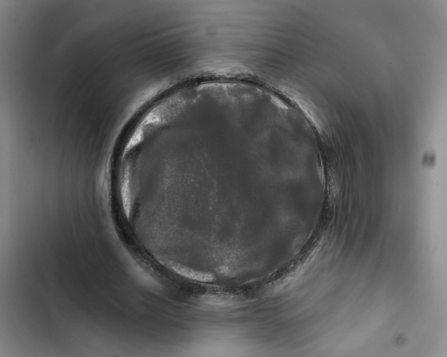 X0000102490630200808221731