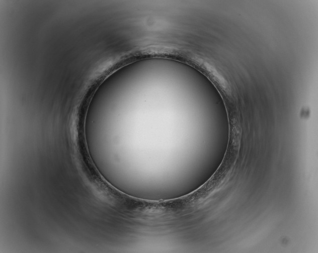 X0000102490631200808221731