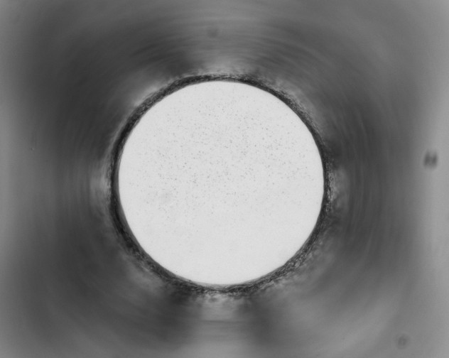 X0000102490632200808221731