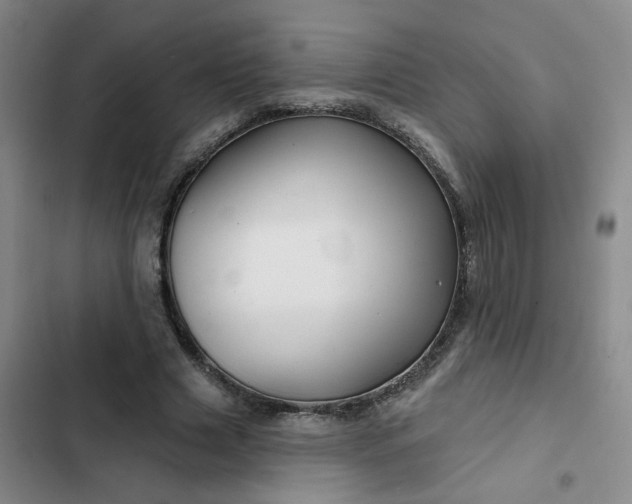 X0000102490633200808221731