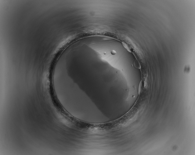 X0000102490634200808221731