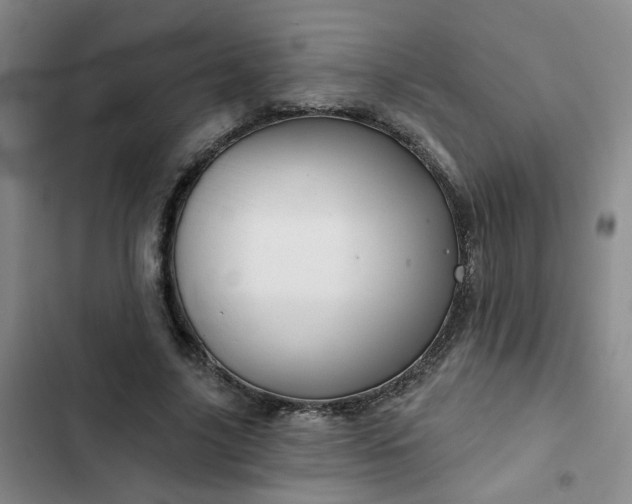 X0000102490635200808221731